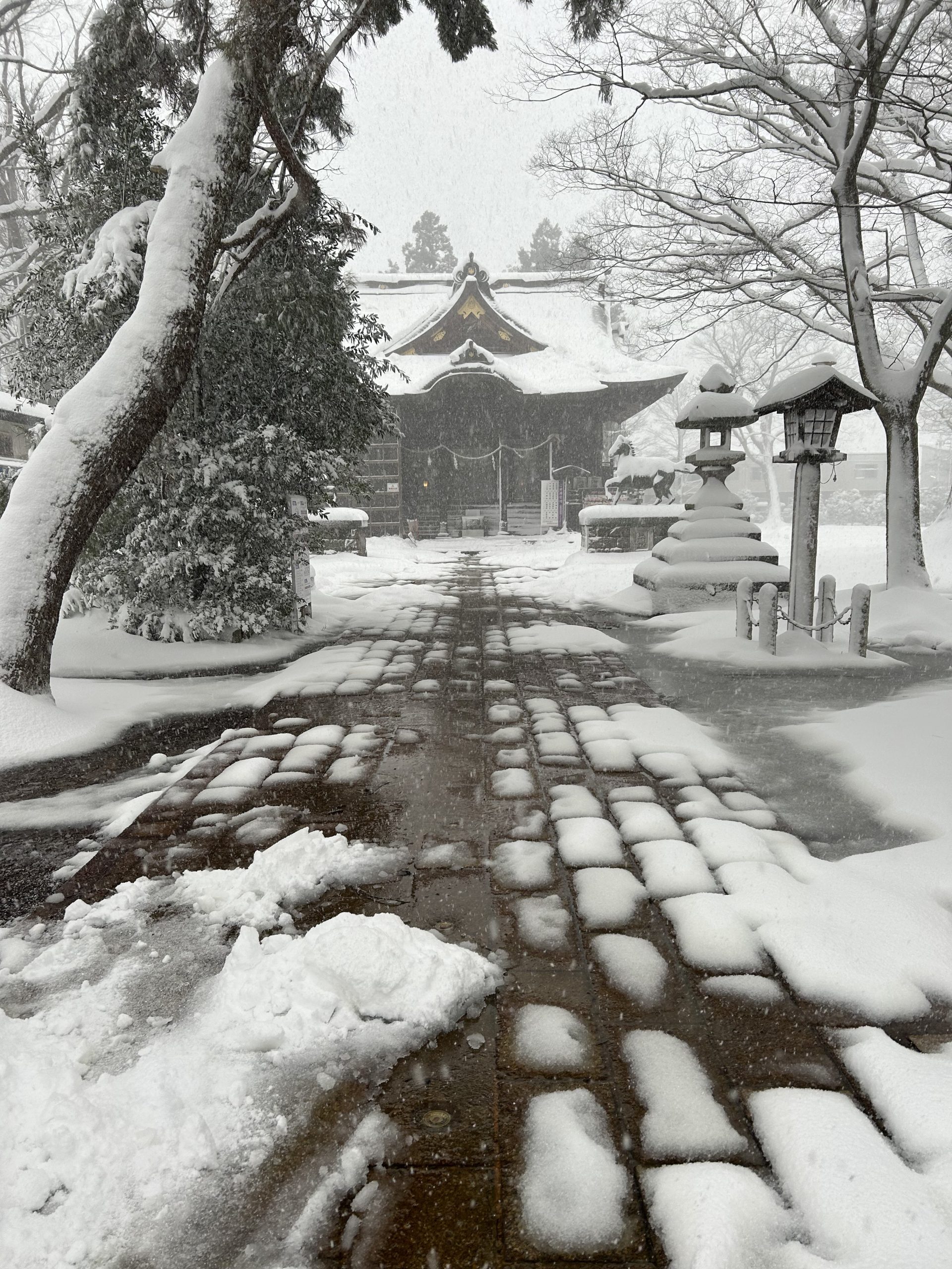 寒波到来